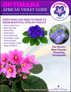 Optimara Guide to African Violets